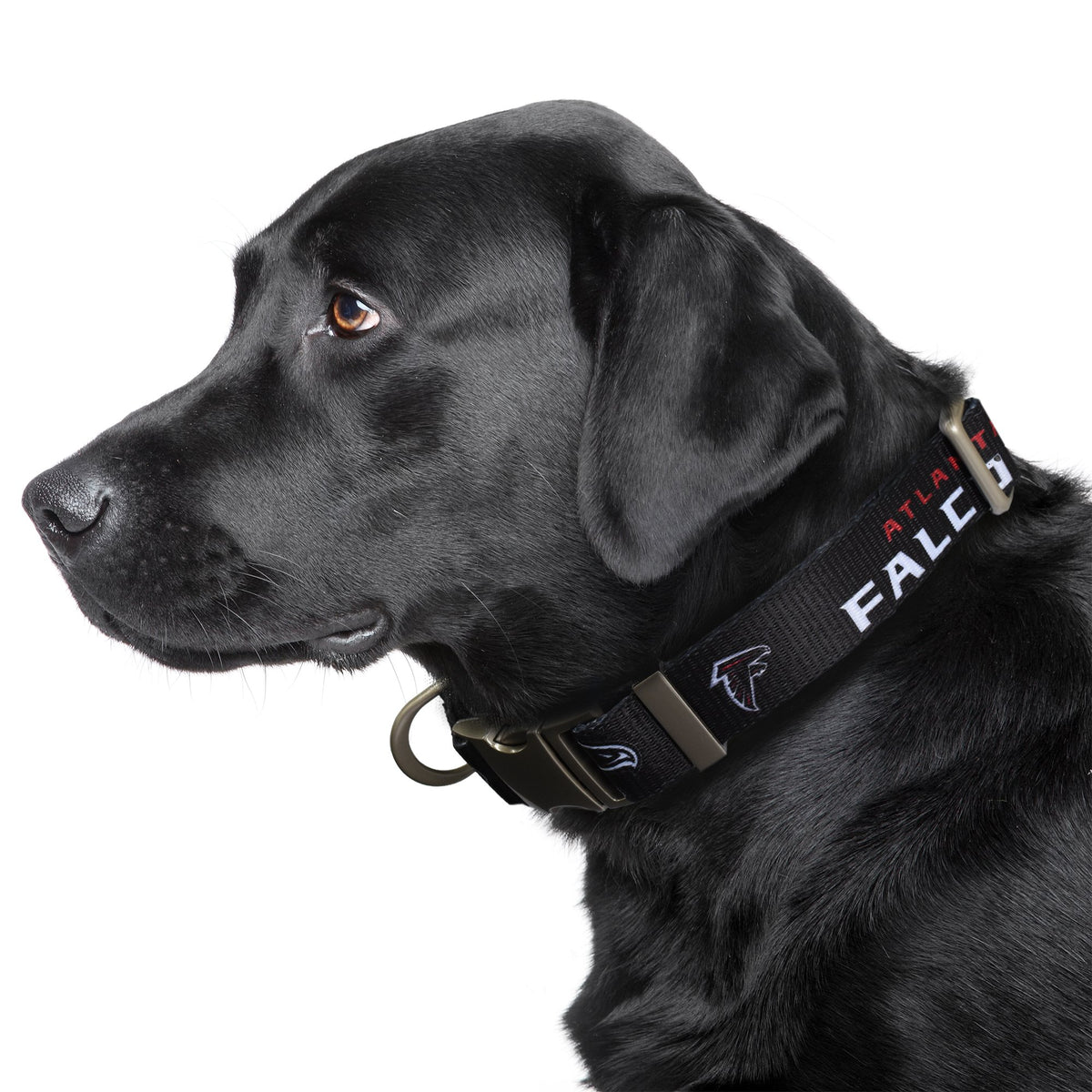 Atlanta Falcons Premium Dog Collar or Leash - 3 Red Rovers