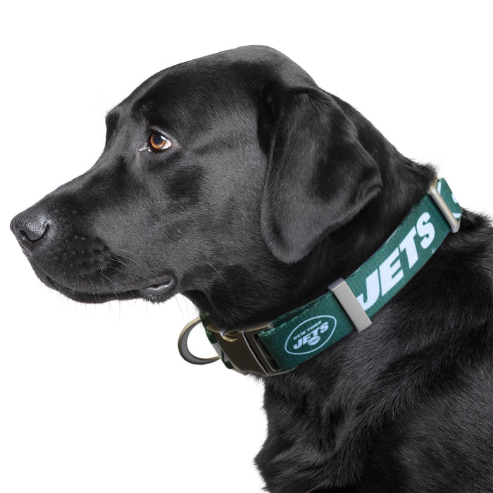 New York Jets Premium Dog Collar or Leash - 3 Red Rovers