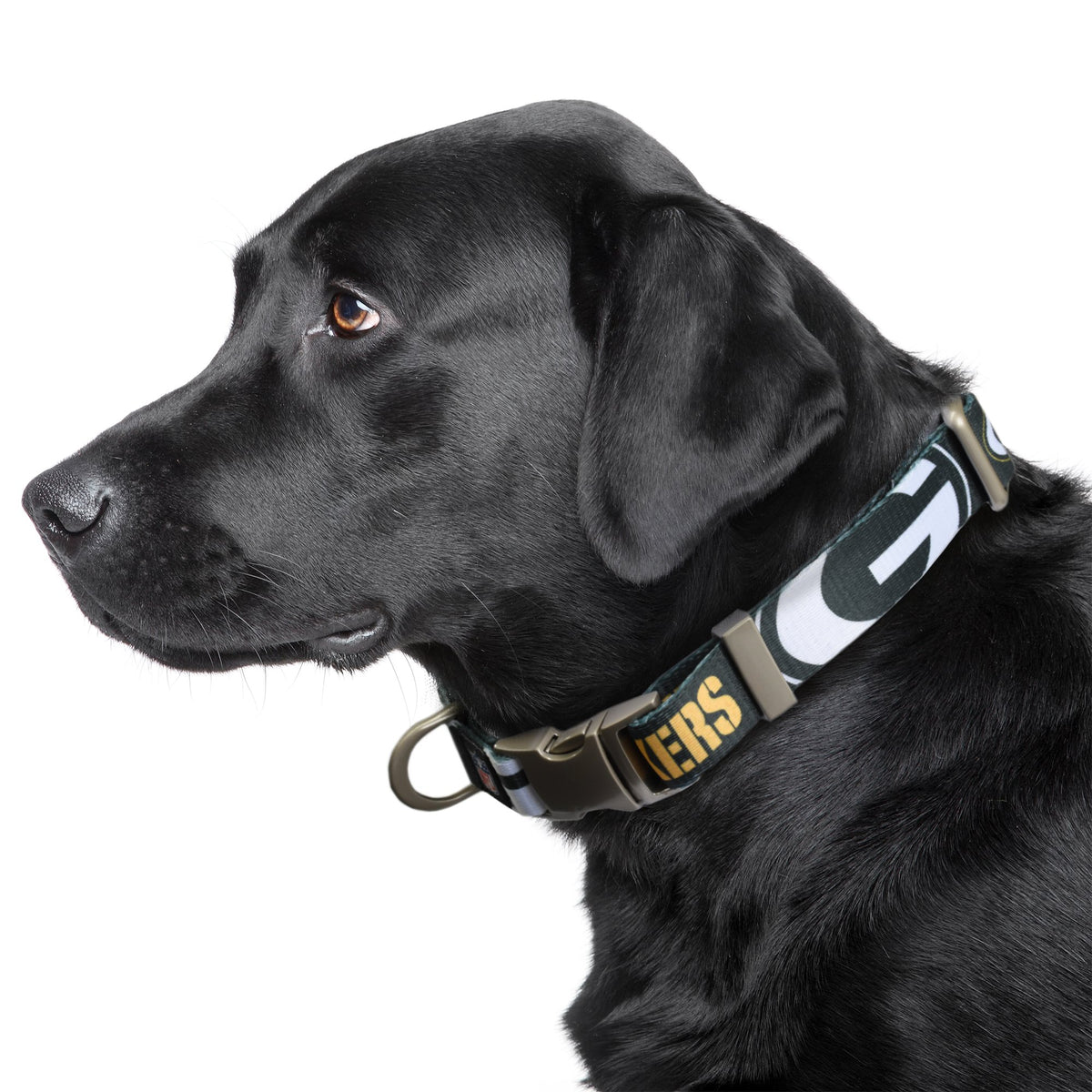 Green Bay Packers Premium Dog Collar or Leash