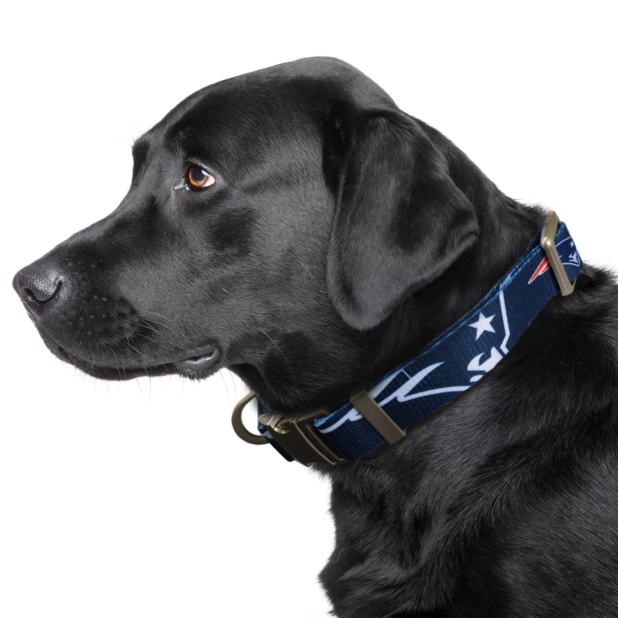 New england fashion patriots dog collars