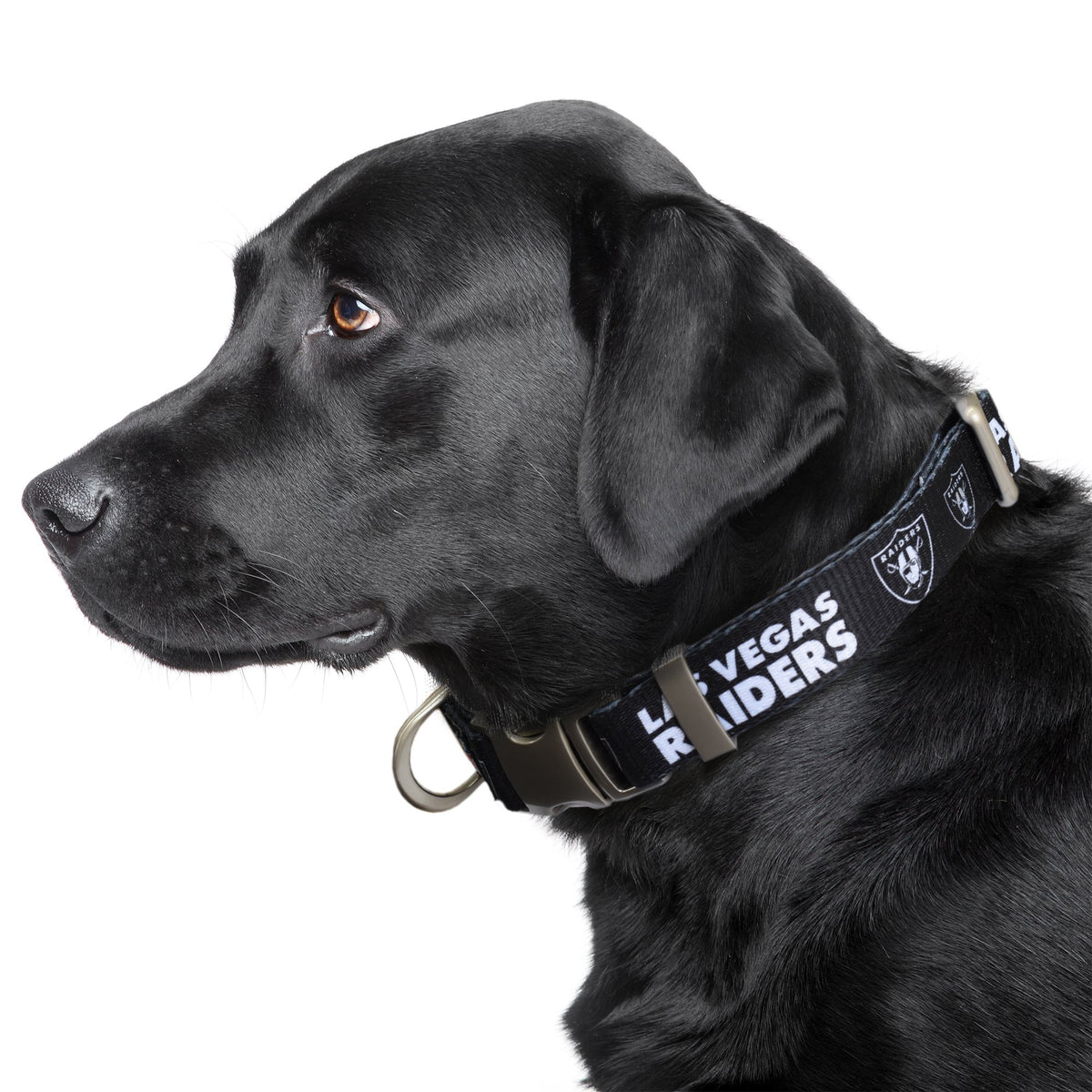 Pets First Collegiate Pet Accessories, Dog Collar, Arizona Wildcats, Medium