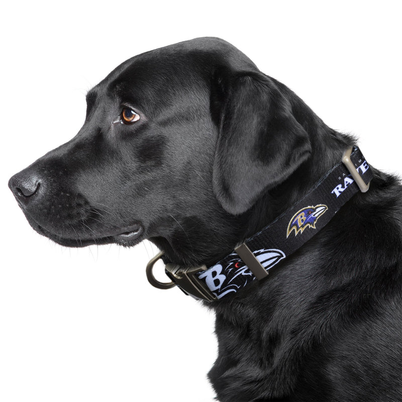 Baltimore Ravens Premium Dog Collar or Leash - 3 Red Rovers