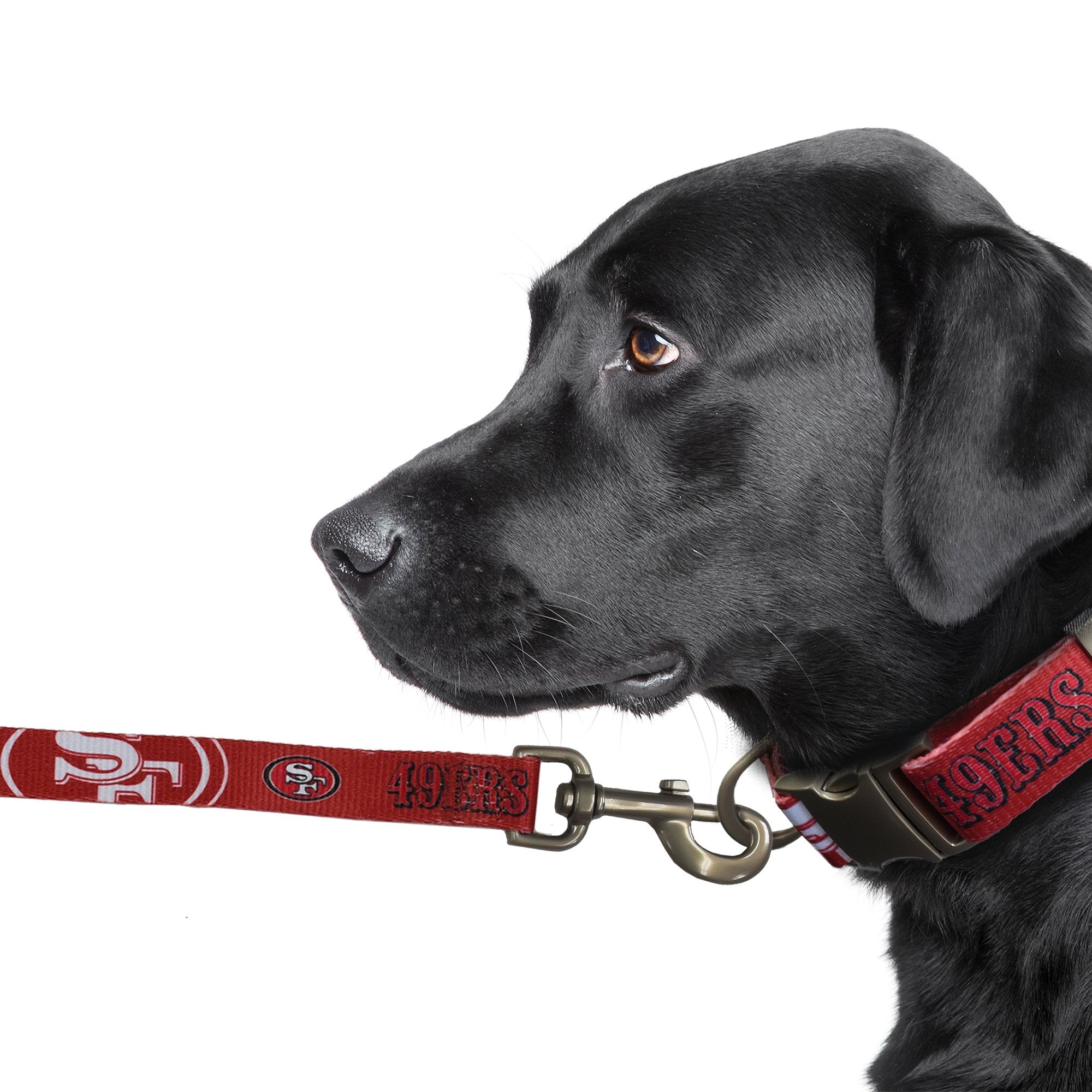 49ers sale dog harness