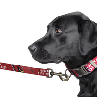 AZ Cardinals Premium Dog Collar or Leash - 3 Red Rovers