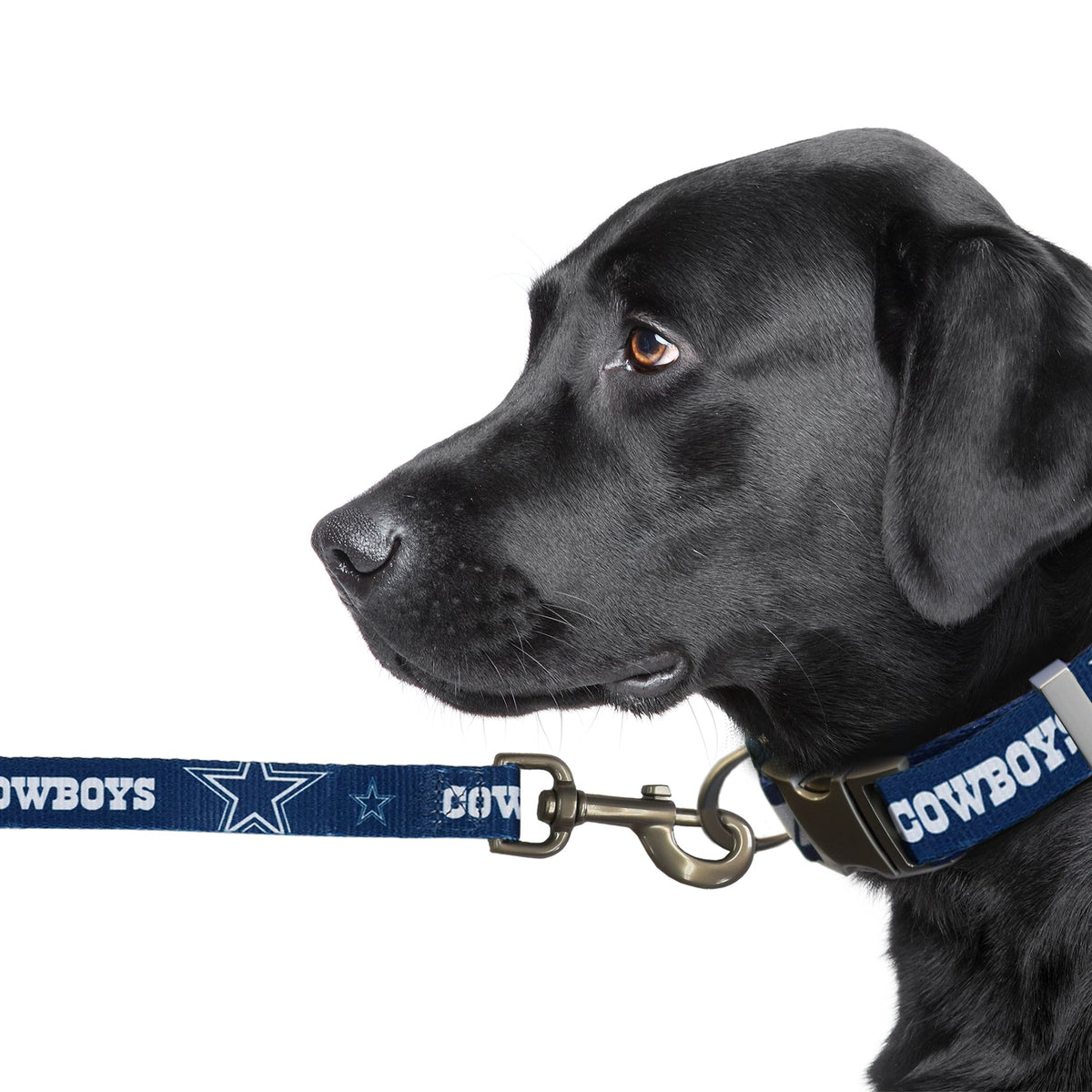 Official Milwaukee Brewers Pet Gear, Brewers Collars, Leashes, Chew Toys