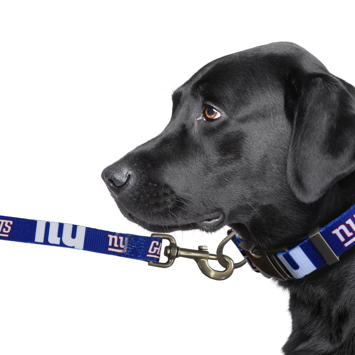 New York Giants Premium Dog Collar or Leash - 3 Red Rovers