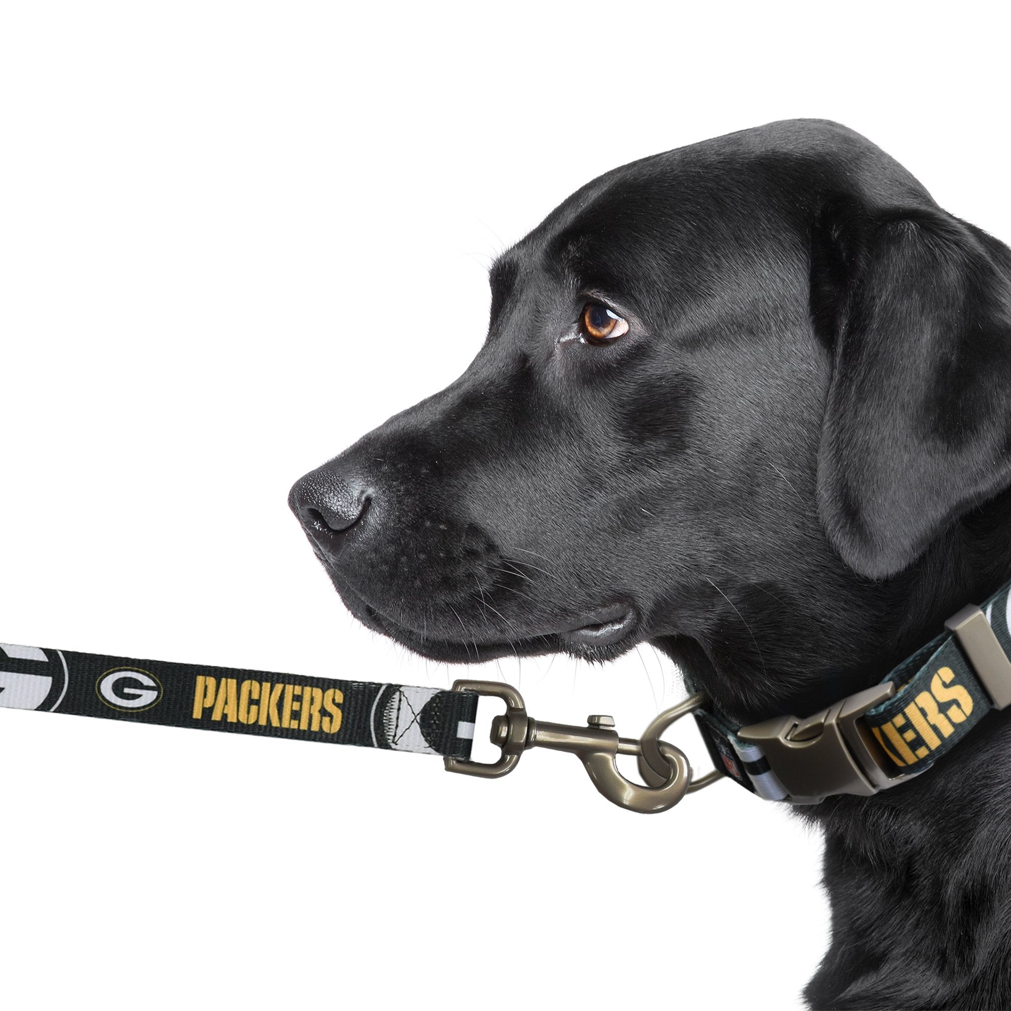 Packers dog cheap collar