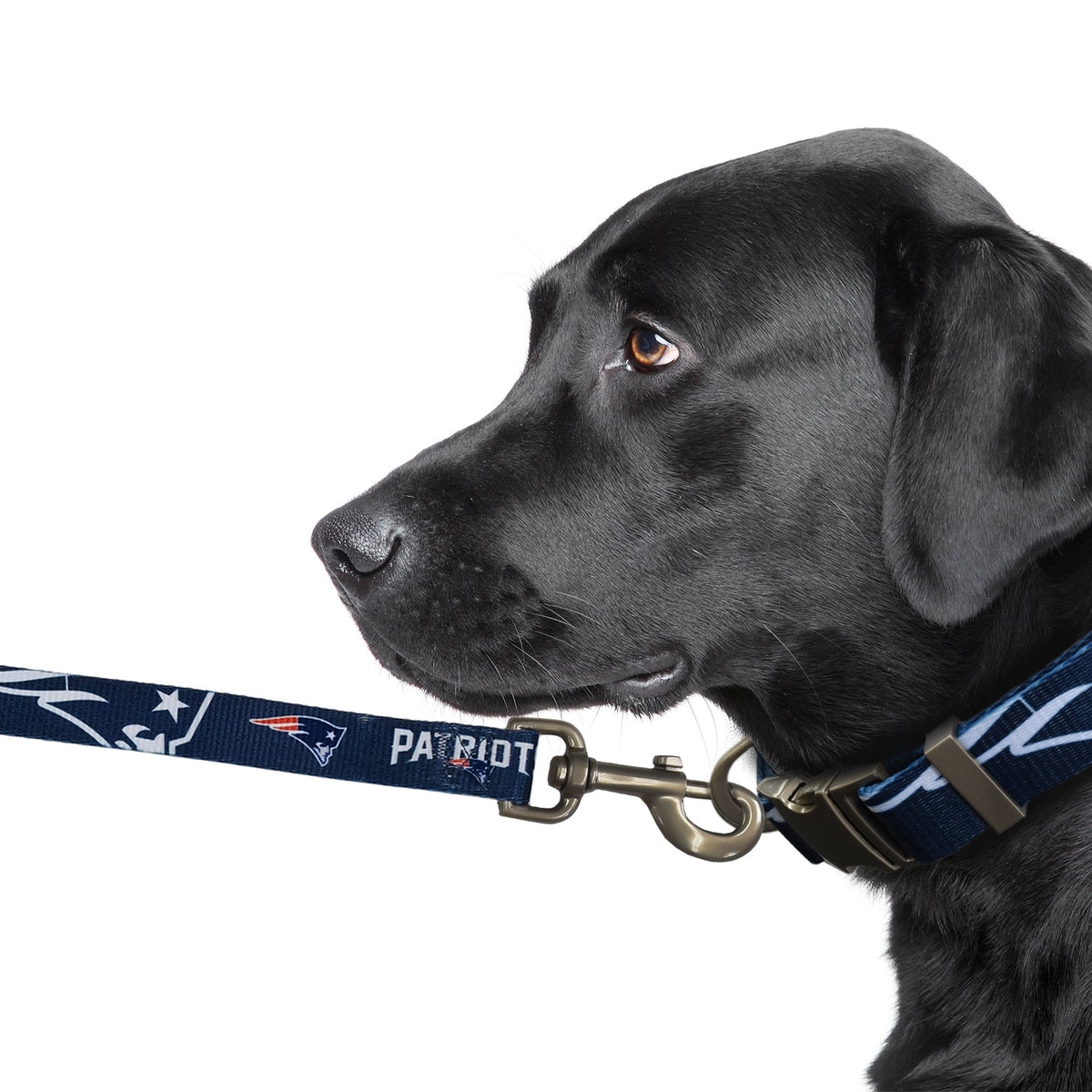 New York Mets Dog Collars, Leashes, ID Tags, Jerseys & More