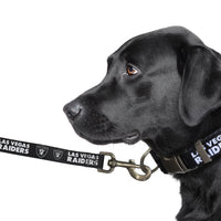 Vegas Raiders Premium Dog Collar or Leash - 3 Red Rovers