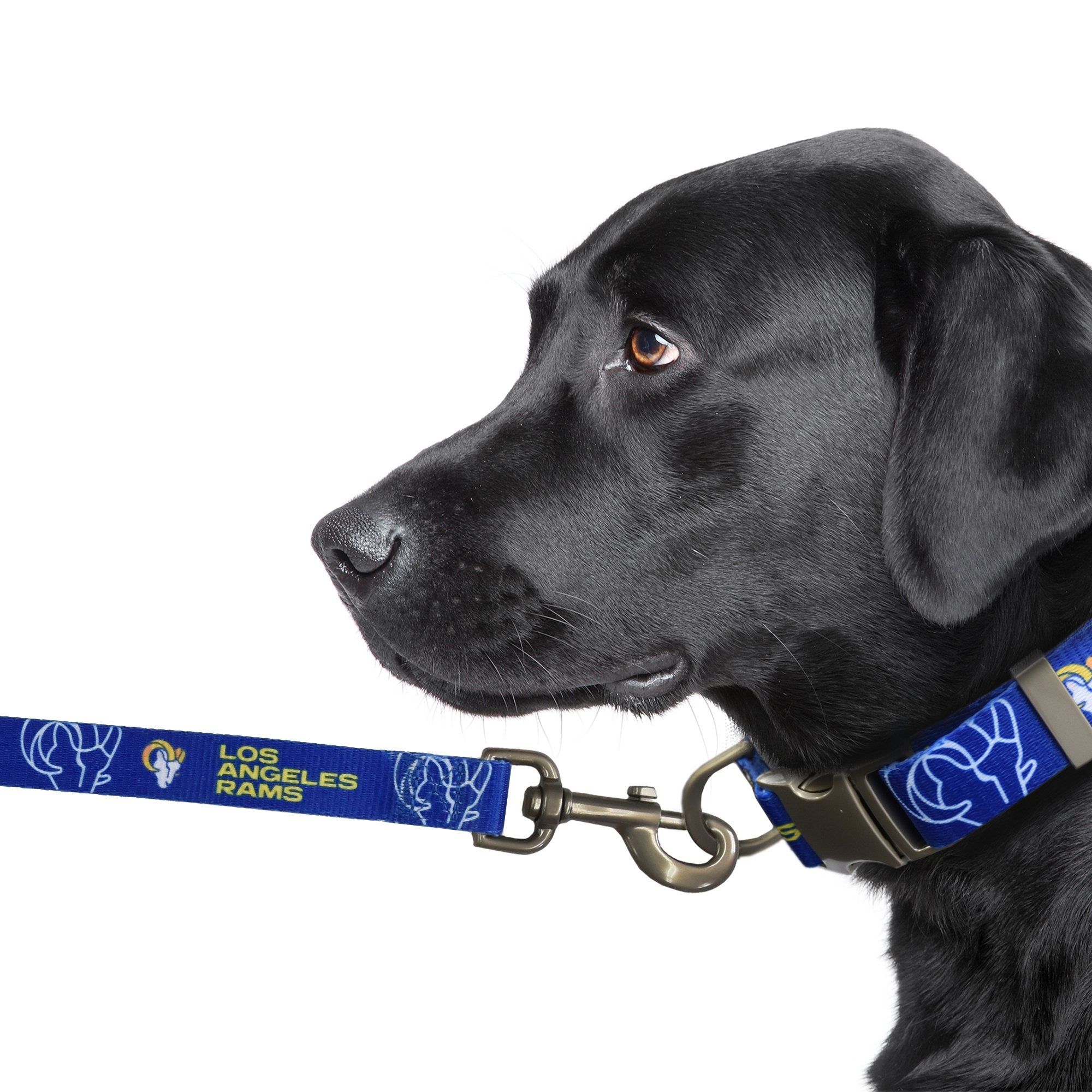 Los angeles rams dog sales collar