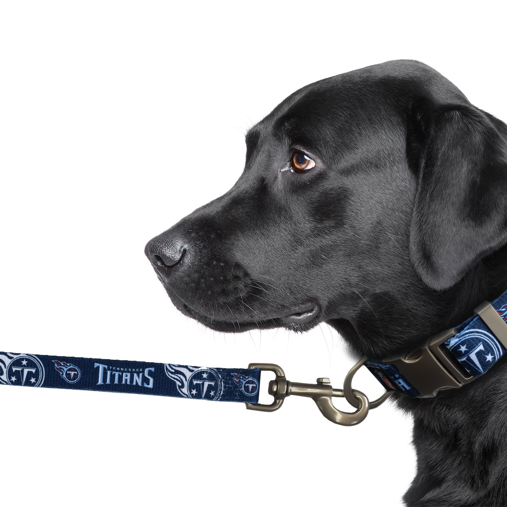 Tennessee titans dog clearance collar