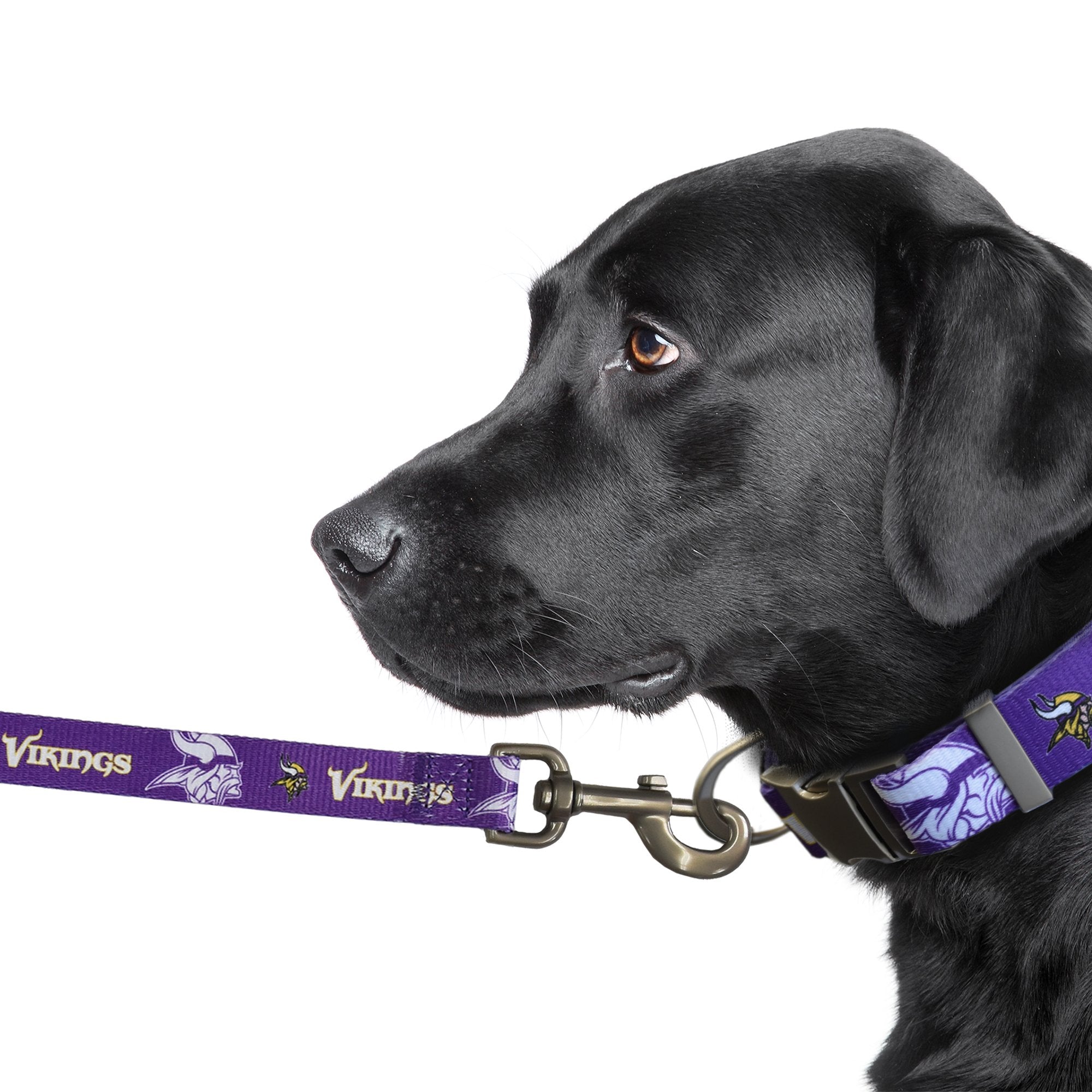 Minnesota vikings dog collar best sale