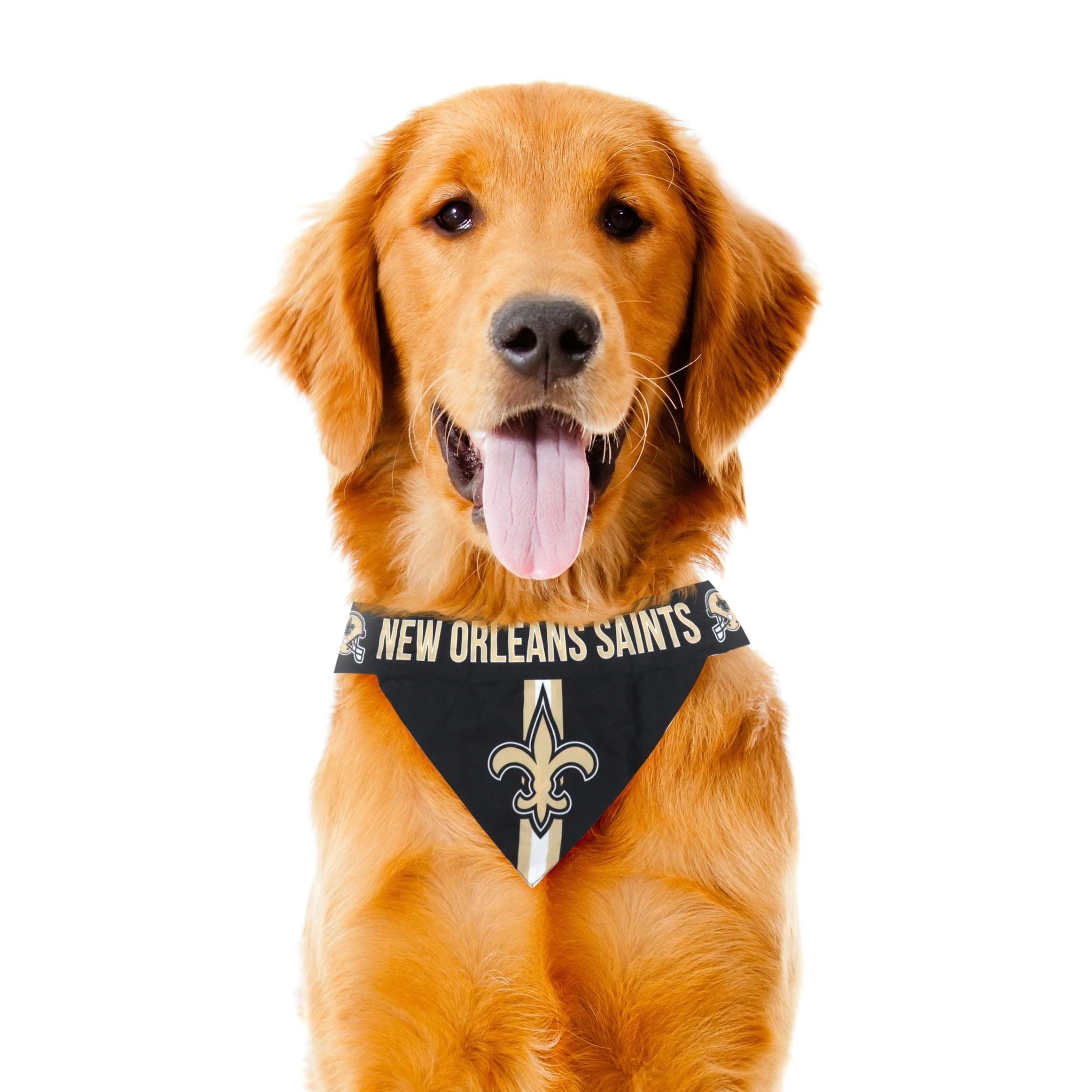 Saints hotsell dog bandana