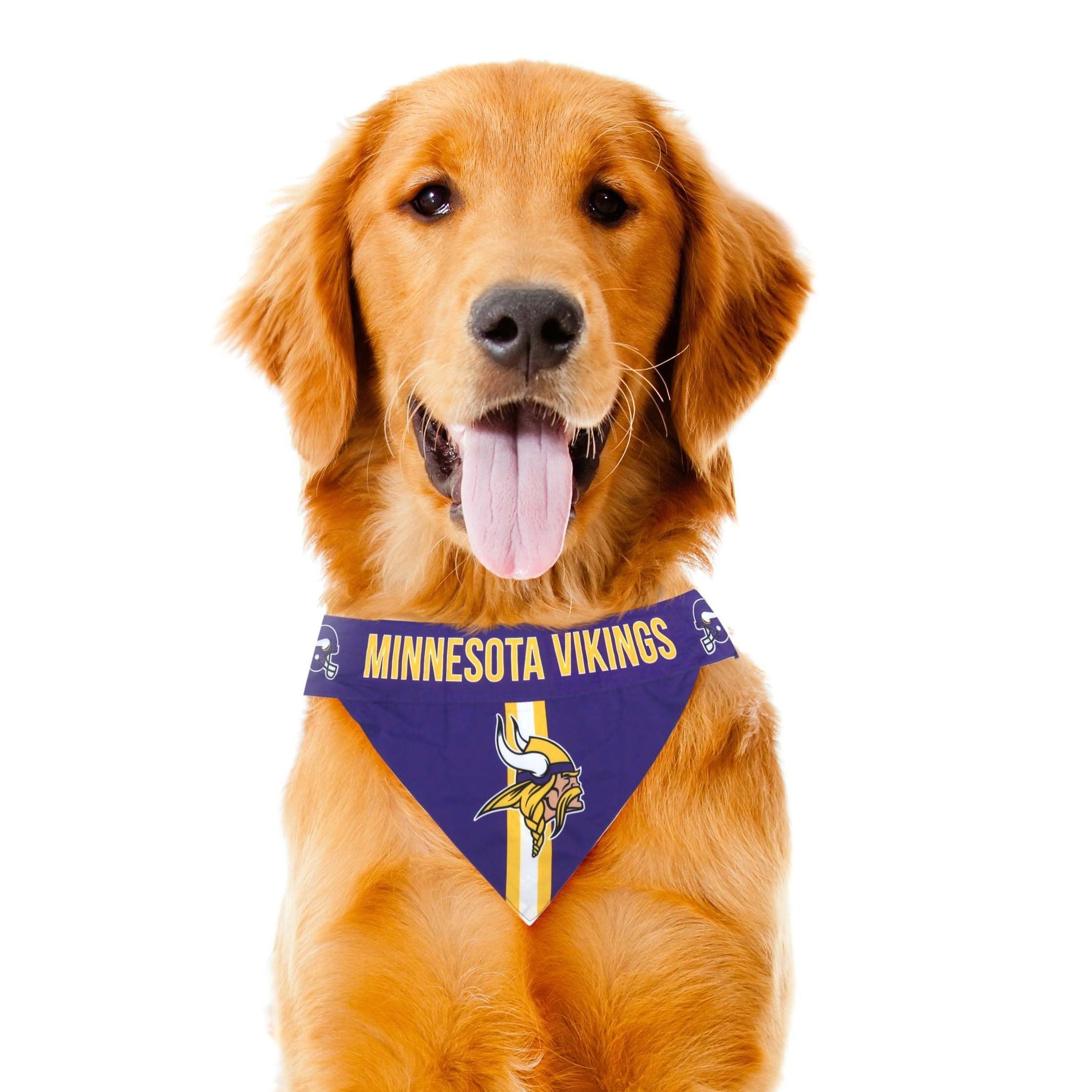 Minnesota vikings dog clearance bandana