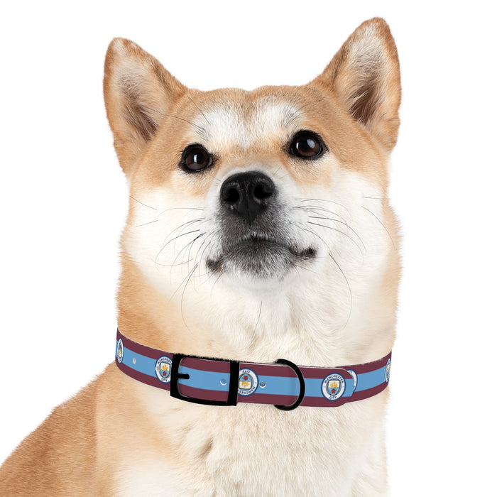 CO Avalanche Dog Collar or Leash – 3 Red Rovers