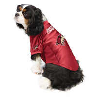 AZ Coyotes Stretch Jersey - 3 Red Rovers