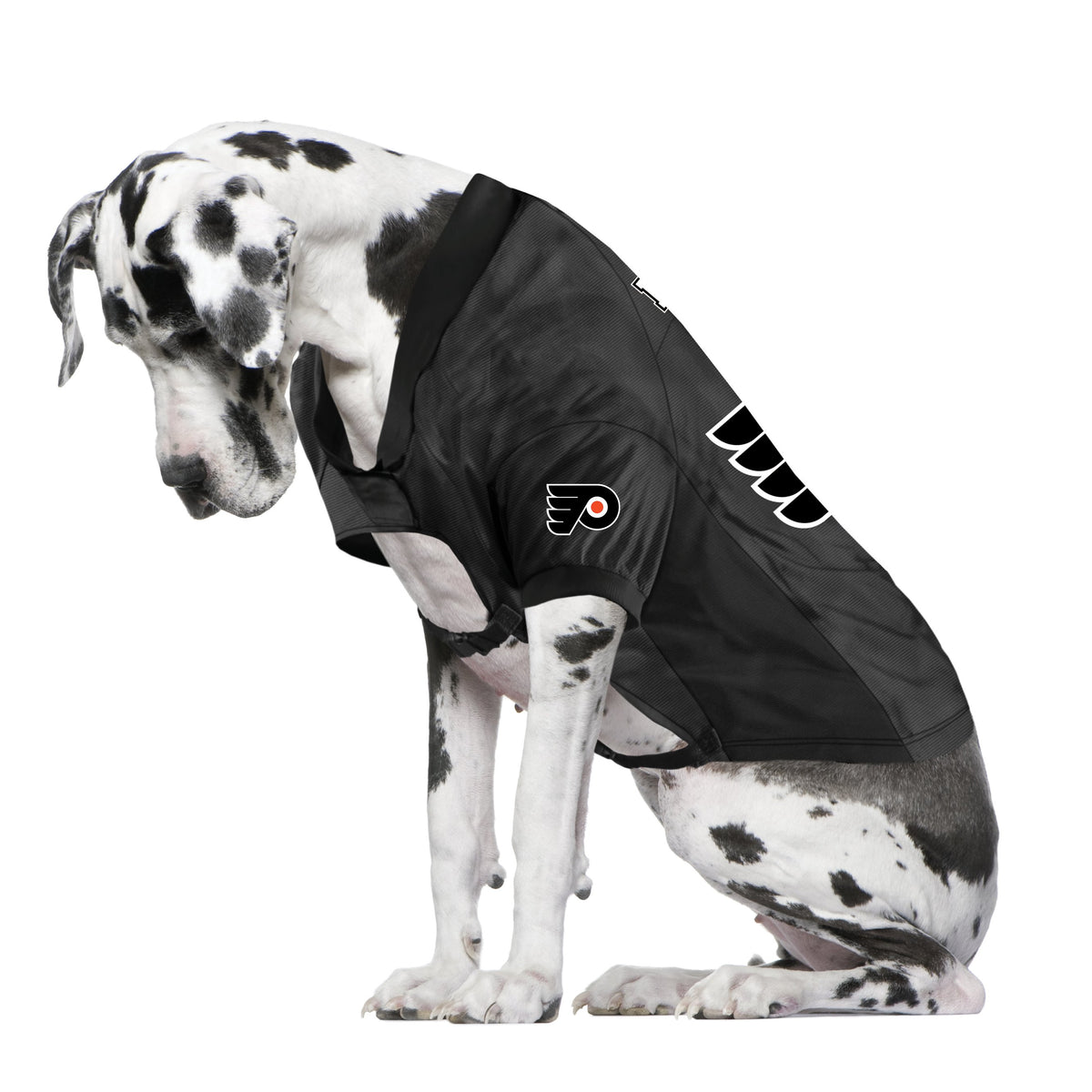 PHILADELPHIA FLYERS STRETCH NHL Pet dog jersey shirt (all sizes) NEW