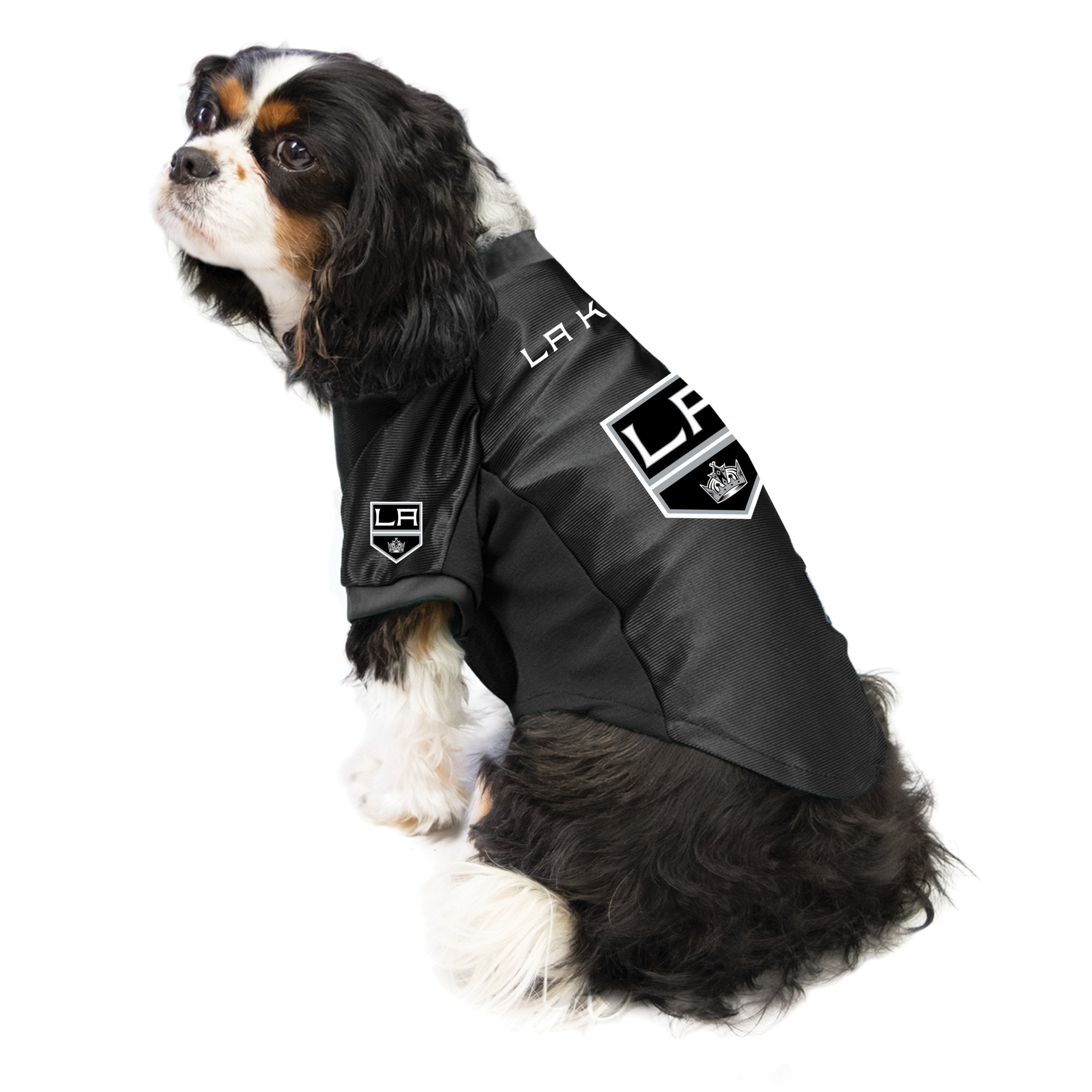 Los angeles sales kings dog jersey