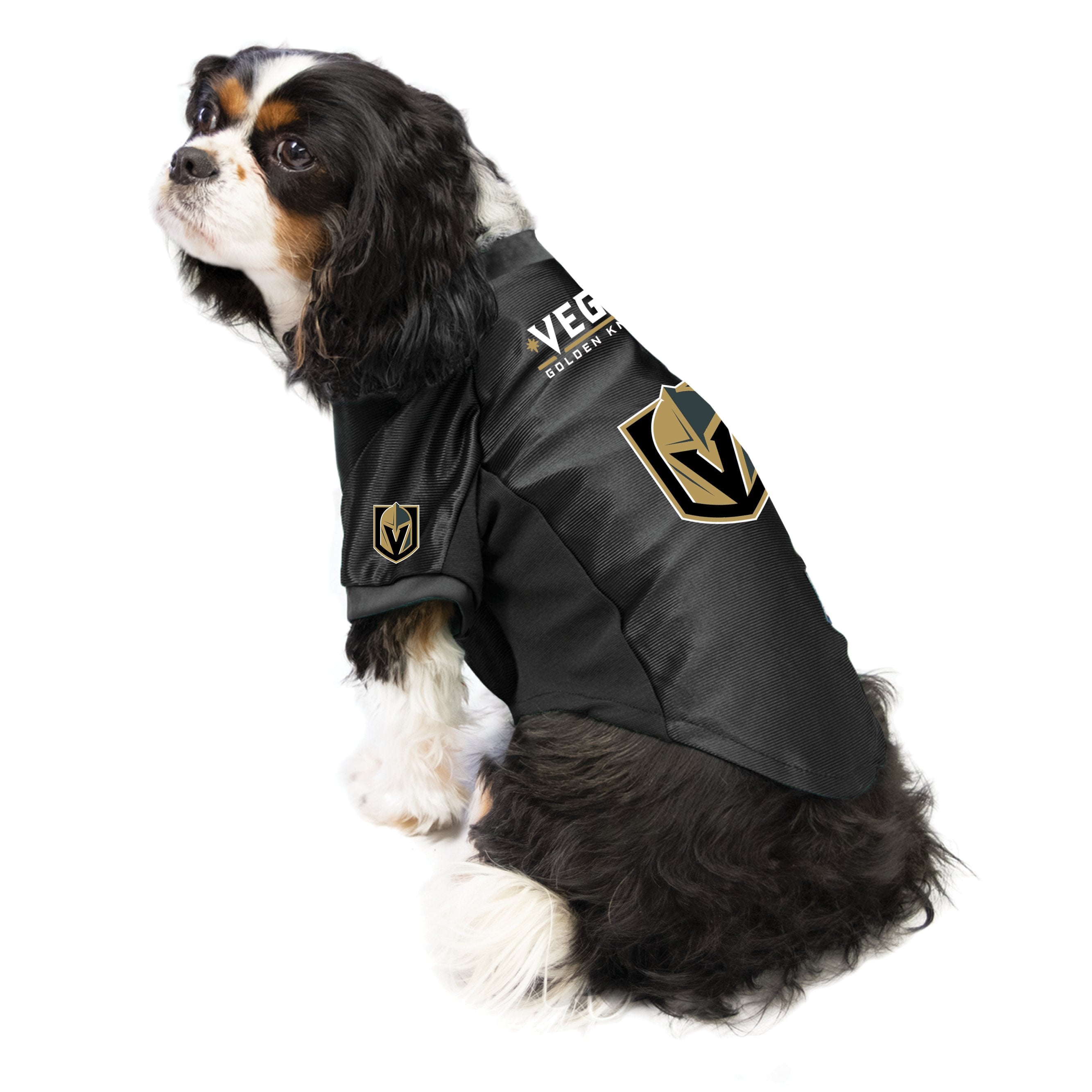 Golden knights sales dog jersey