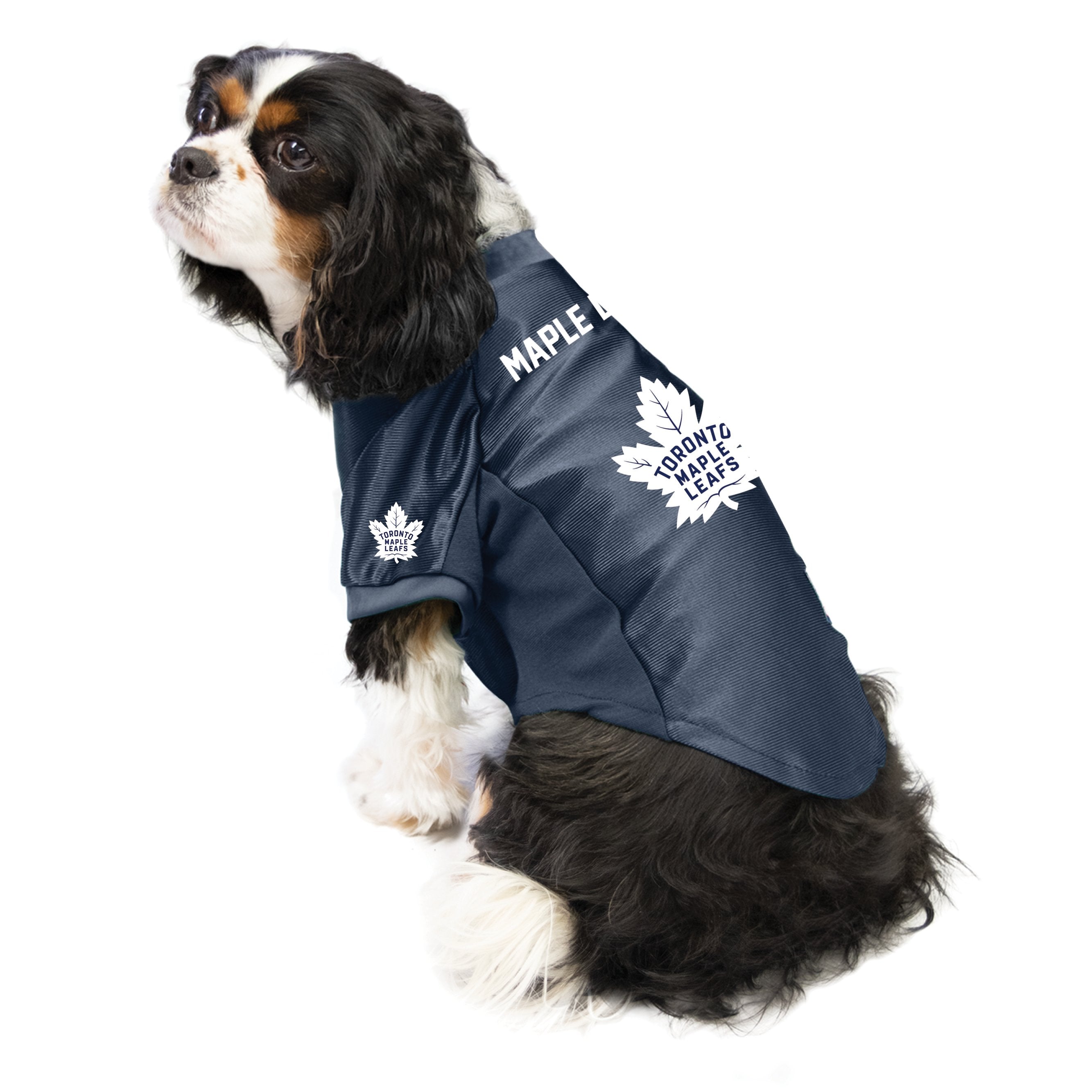 Toronto maple shop leafs dog jersey