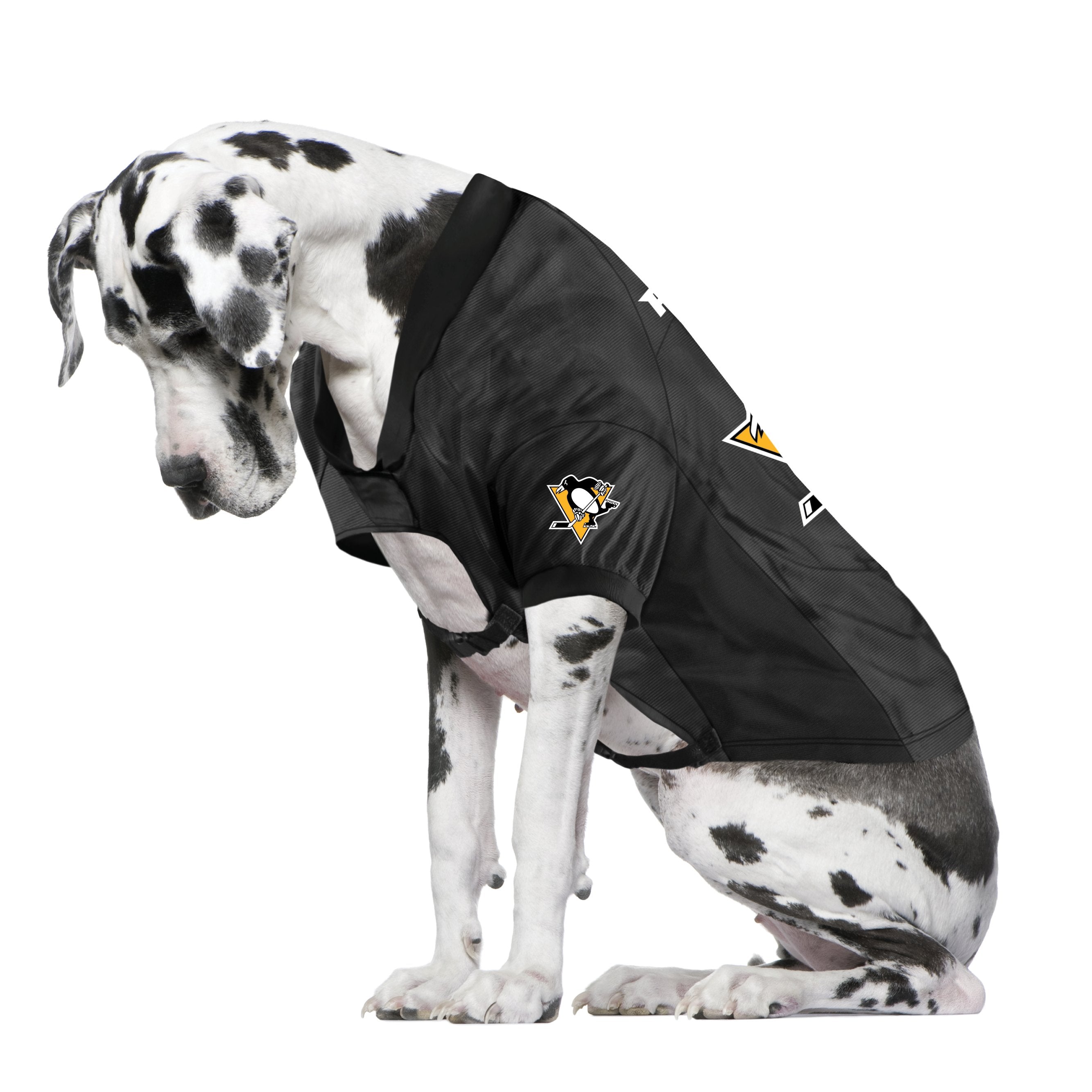 Penguins dog sale jersey