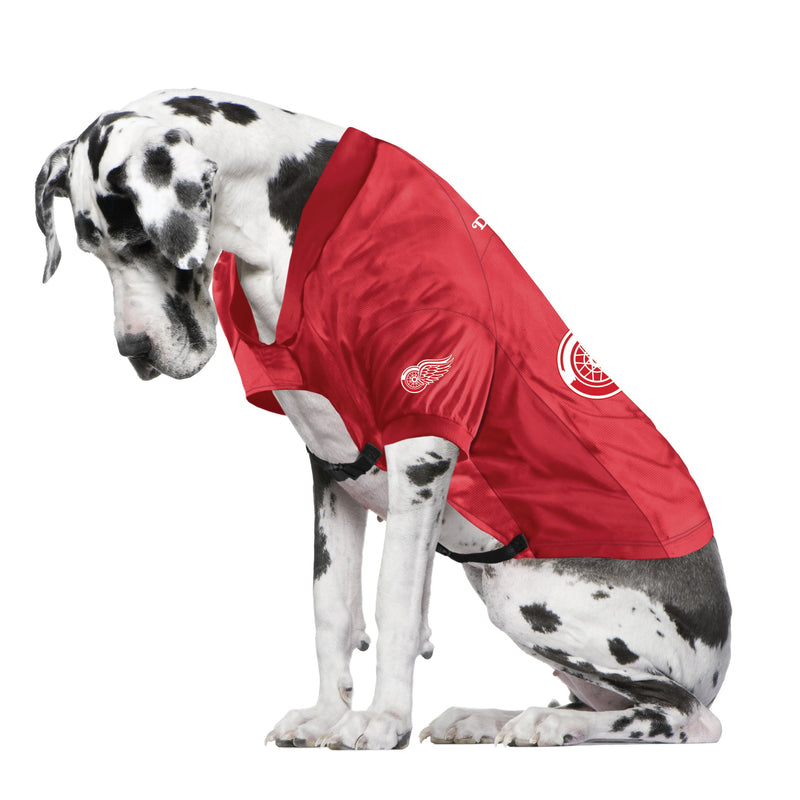 Detroit Red Wings Big Dog Stretch Jersey - 3 Red Rovers
