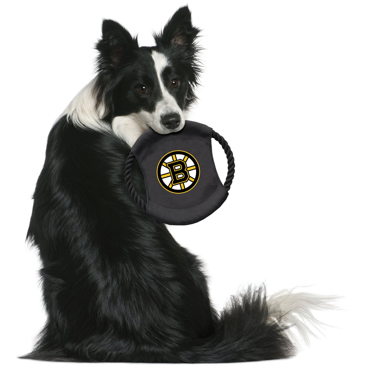 Boston Bruins Flying Disc Toy - 3 Red Rovers