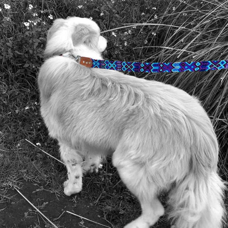 Artisan Azul Handmade 4' Pet Leads