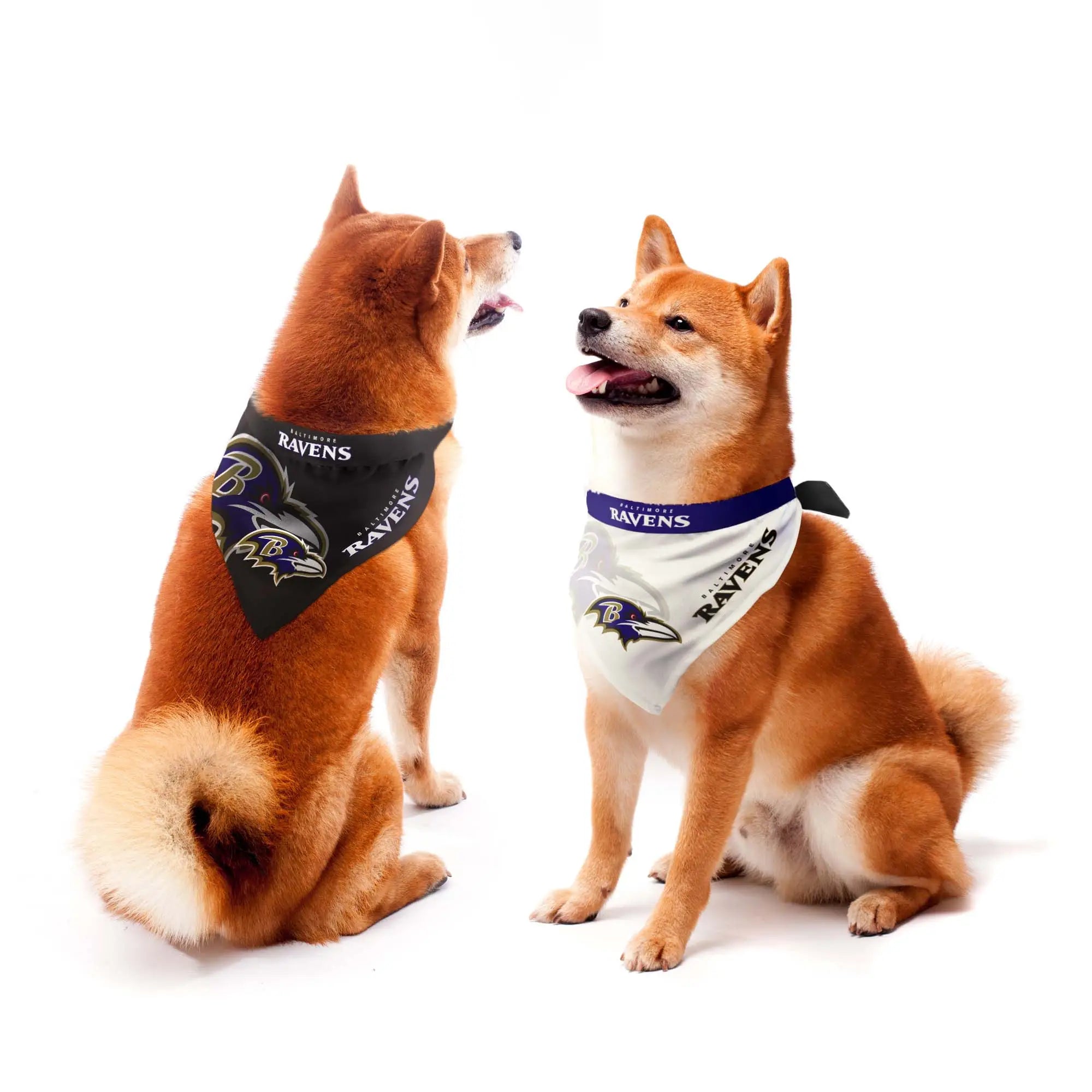 Baltimore Ravens Home and Away Pet Bandana Set 3 Red Rovers