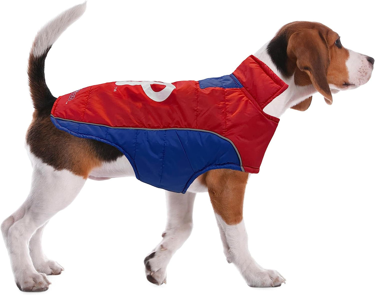 Small Dog Harness Philadelphia Phillies Made in USA Dog -  Hong Kong