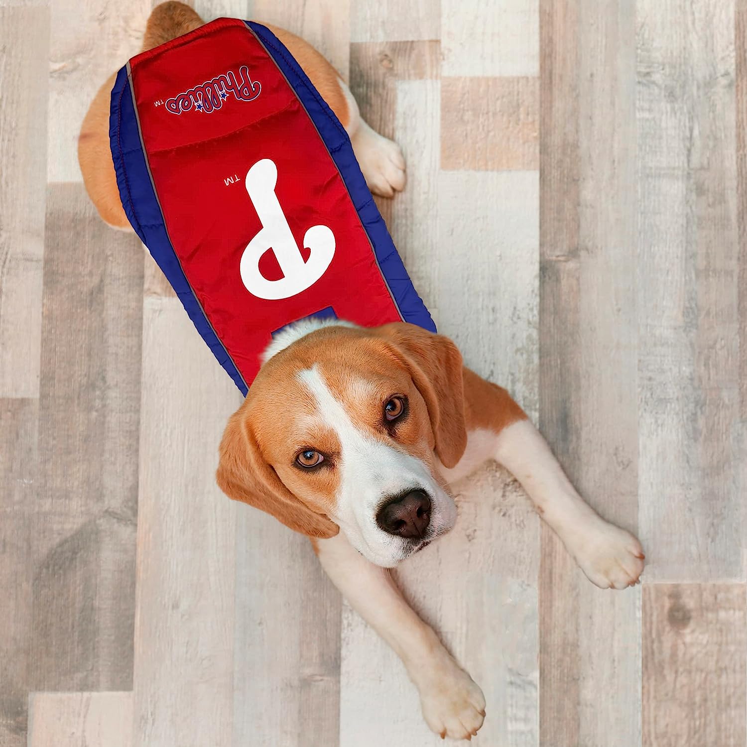 Phillies 2025 dog bandana