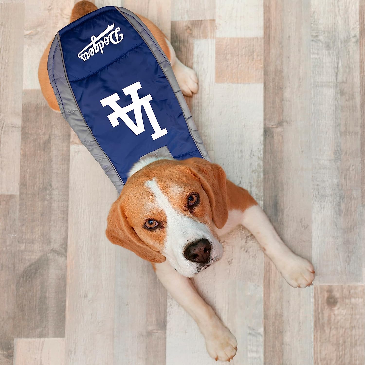 Dodgers dog shops bandana