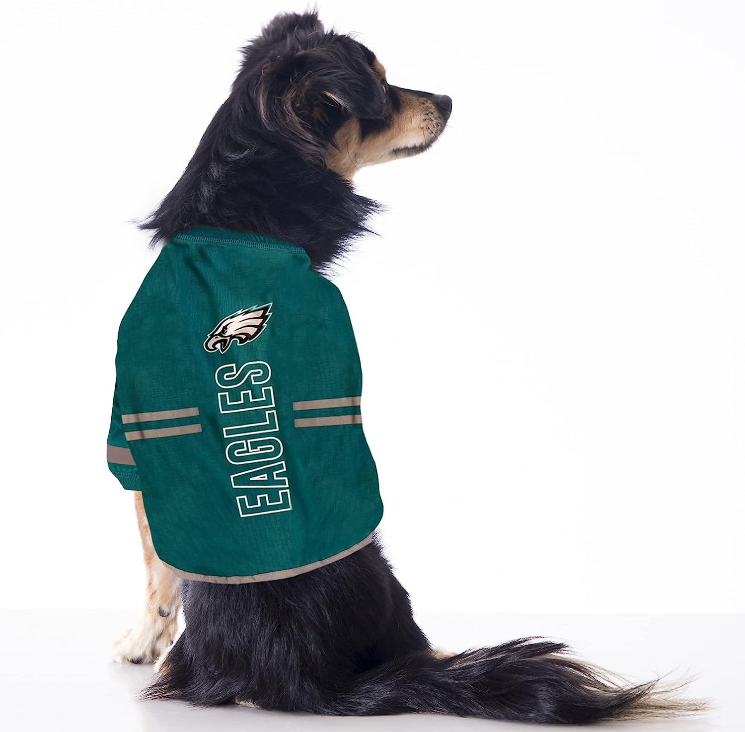 Dog store eagles shirt