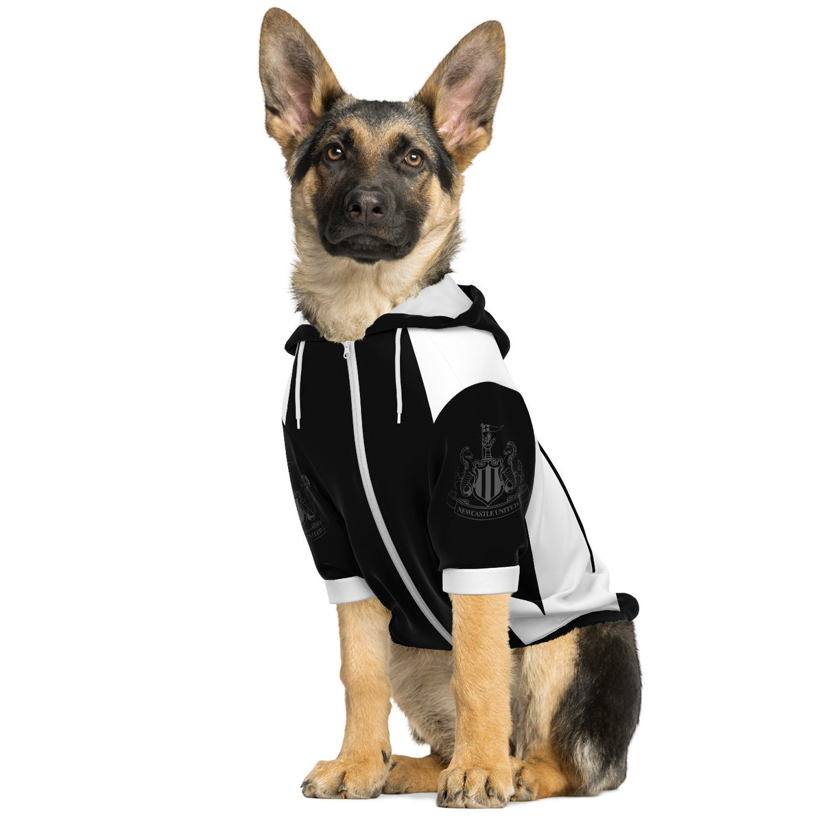 Tampa Bay Lightning Fleece Dog Coat NHL Stretchy Dog Sweater -  UK