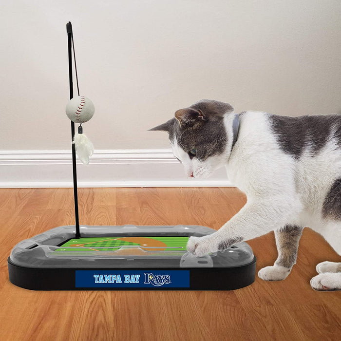 Tampa Bay Rays Baseball Cat Scratcher Toy