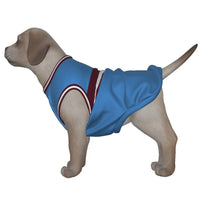 Manchester City FC 23 Home Inspired Pet Tee Shirt (Sizes XS-Small) - 3 Red Rovers