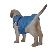 Manchester City FC 23 Home Inspired Pet Tee Shirt (Sizes XS-Small) - 3 Red Rovers