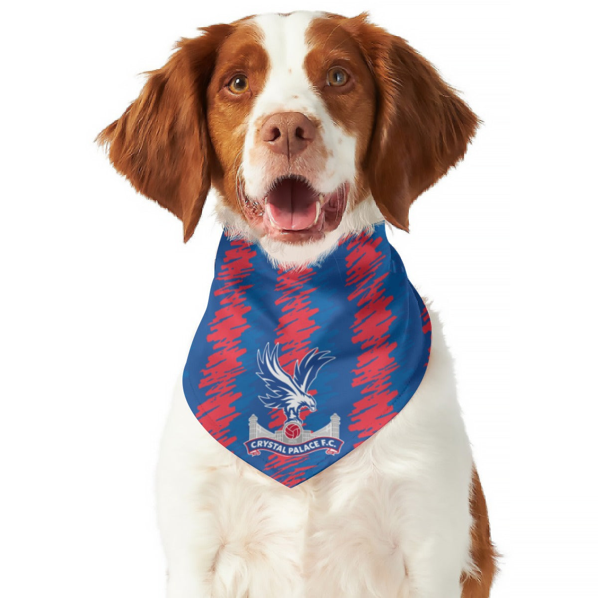 Crystal Palace FC 23 Home Inspired Pet Bandana – 3 Red Rovers