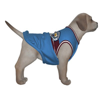 Manchester City FC 23 Home Inspired Pet Tee Shirt (Sizes XS-Small) - 3 Red Rovers