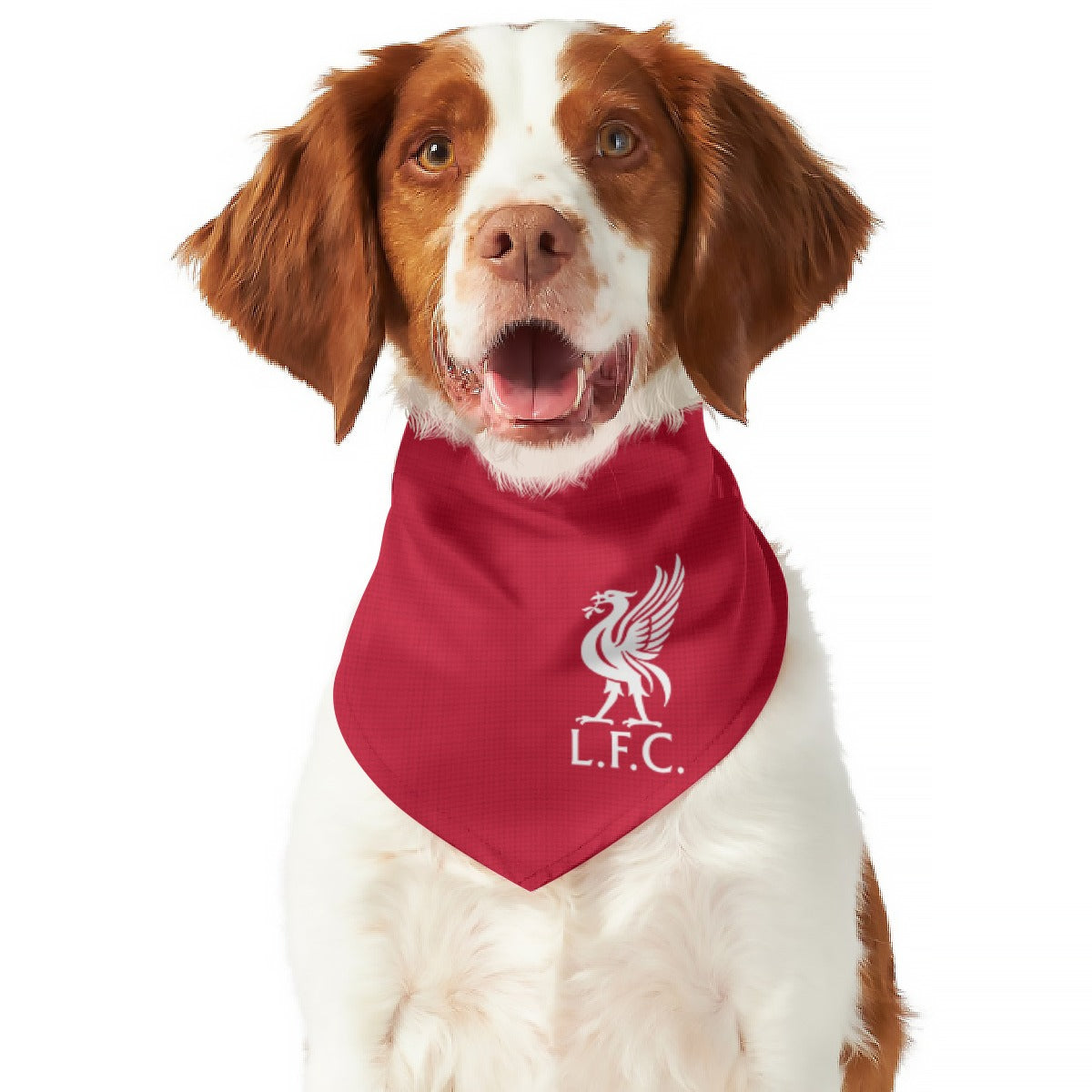 Liverpool fc outlet dog shirt