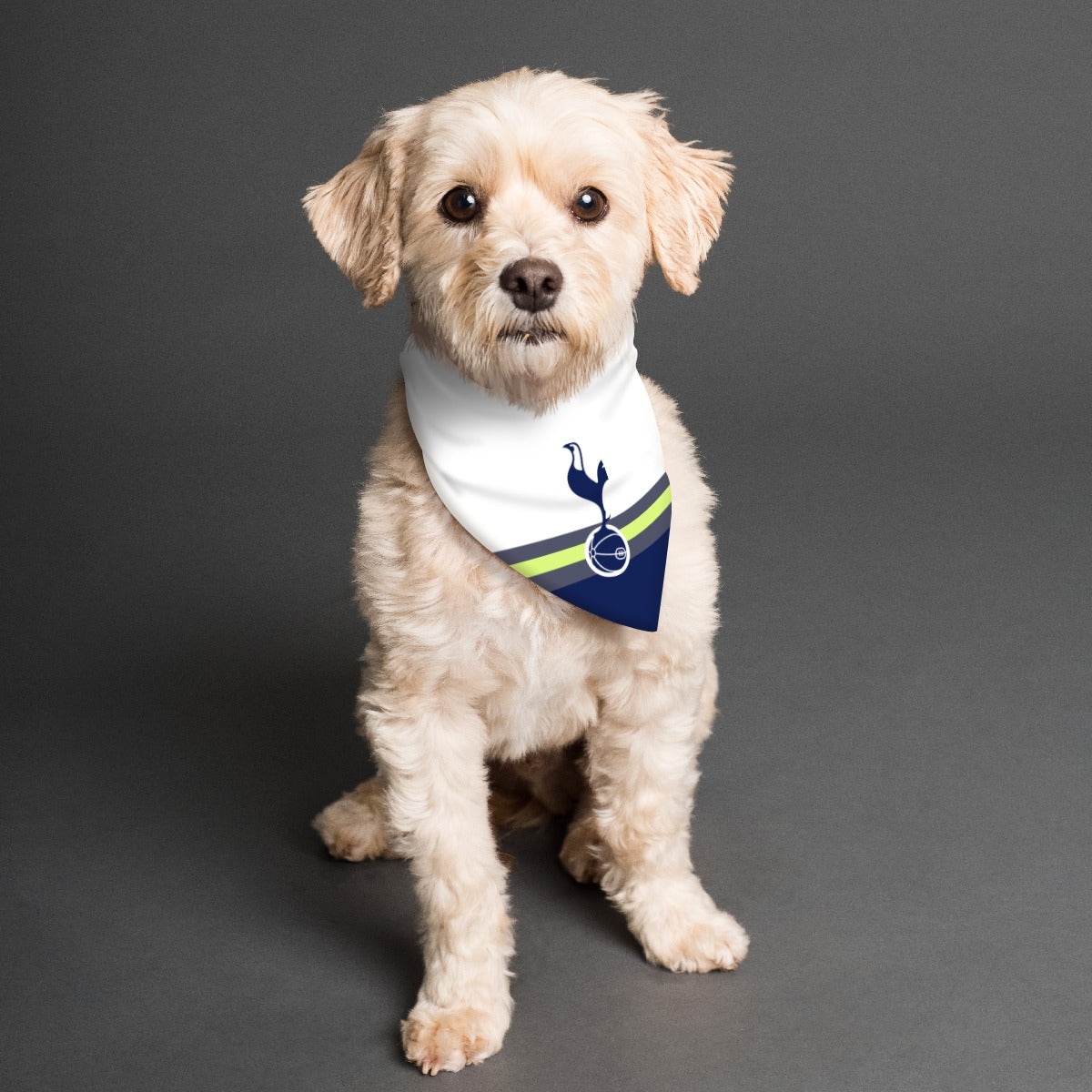 Tottenham hotspur dog outlet bandana