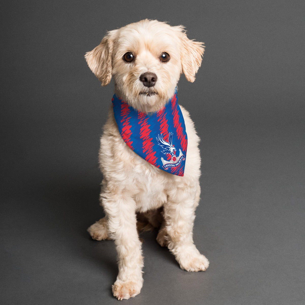 Crystal Palace FC 23 Home Inspired Pet Bandana - Small – 3 Red Rovers