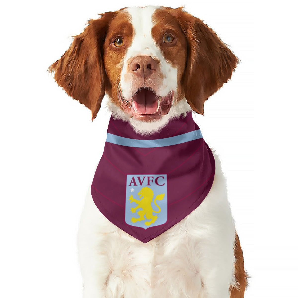 Aston villa hot sale dog coat