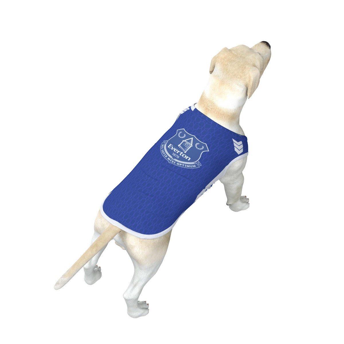 Everton FC 23 Home Inspired Pet Tee (Size M-2x) - 3 Red Rovers