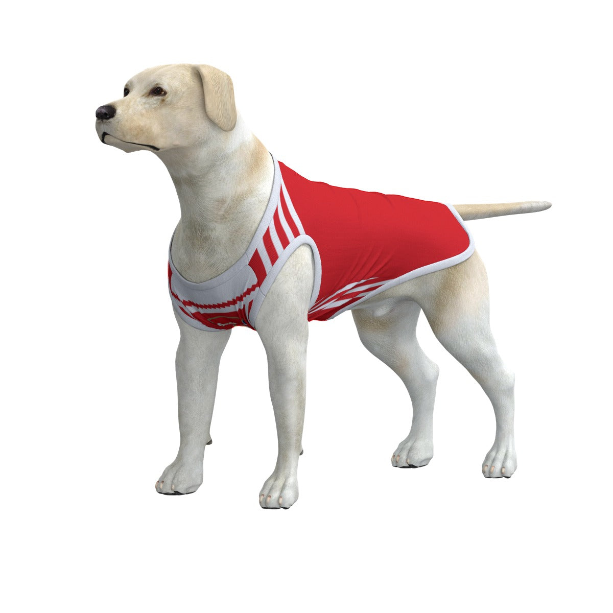 Pets First NFL Las Vegas Raiders NFL Hoodie Tee Shirt for Dogs & Cats -  COOL T-Shirt, 32 Teams - Medium 