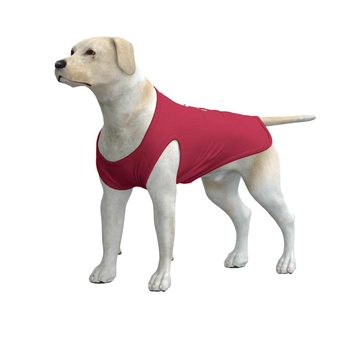 Liverpool dog coat medium fashion