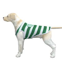 Celtic FC 23 Home Inspired Pet Tee (Size M-2x) - 3 Red Rovers