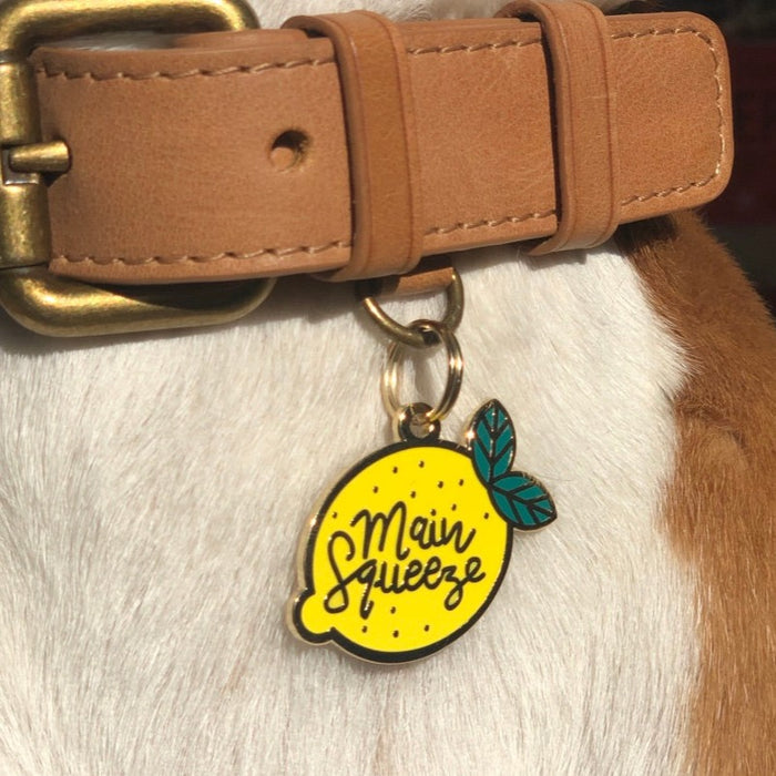 Main Squeeze Pet ID Tag - 3 Red Rovers