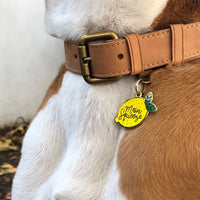 Main Squeeze Pet ID Tag - 3 Red Rovers