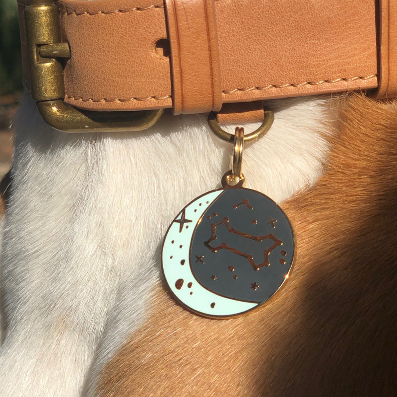 Zodiak Pet ID Tag - 3 Red Rovers